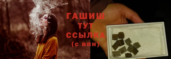молекула духа Алексин