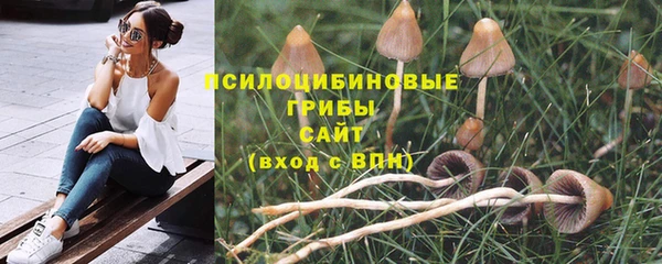 героин Рославль