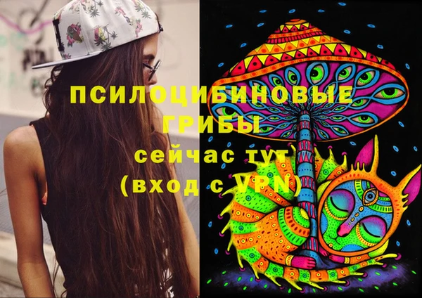 молекула духа Алексин