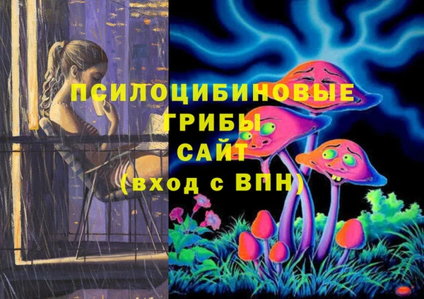молекула духа Алексин
