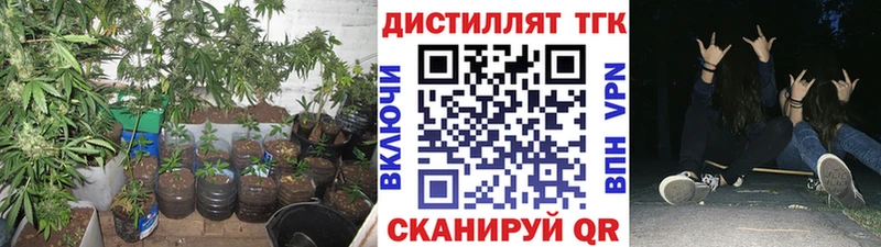 ТГК жижа  цена   Нолинск 